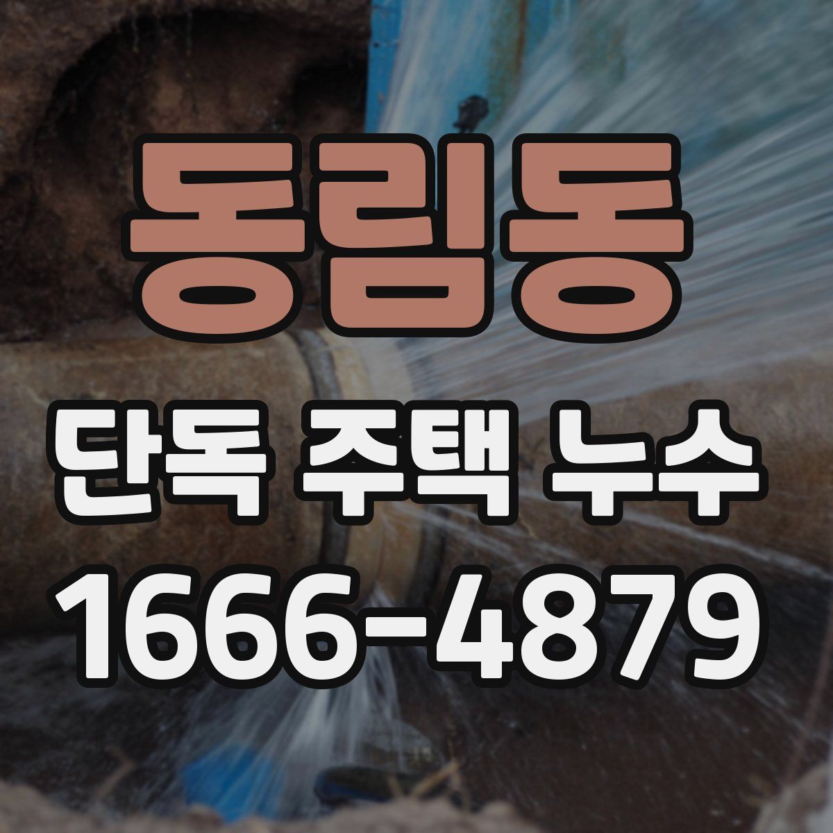 동림동 단독 주택 누수