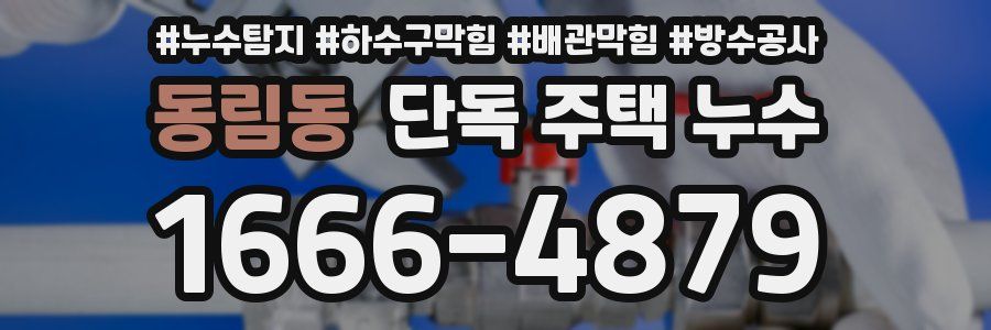 동림동 단독 주택 누수