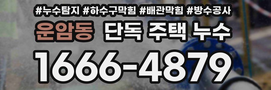 운암동 단독 주택 누수
