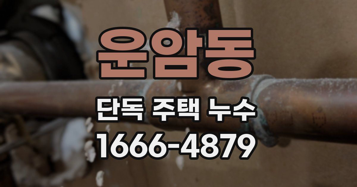 운암동 단독 주택 누수