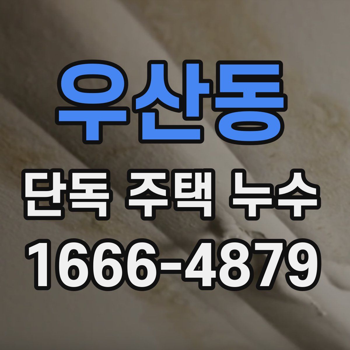 우산동 단독 주택 누수