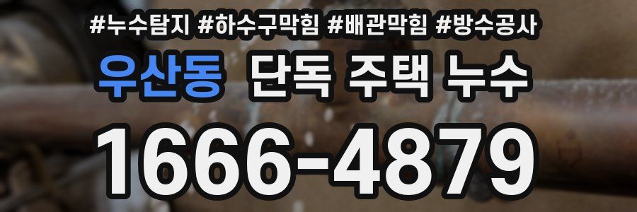 우산동 단독 주택 누수