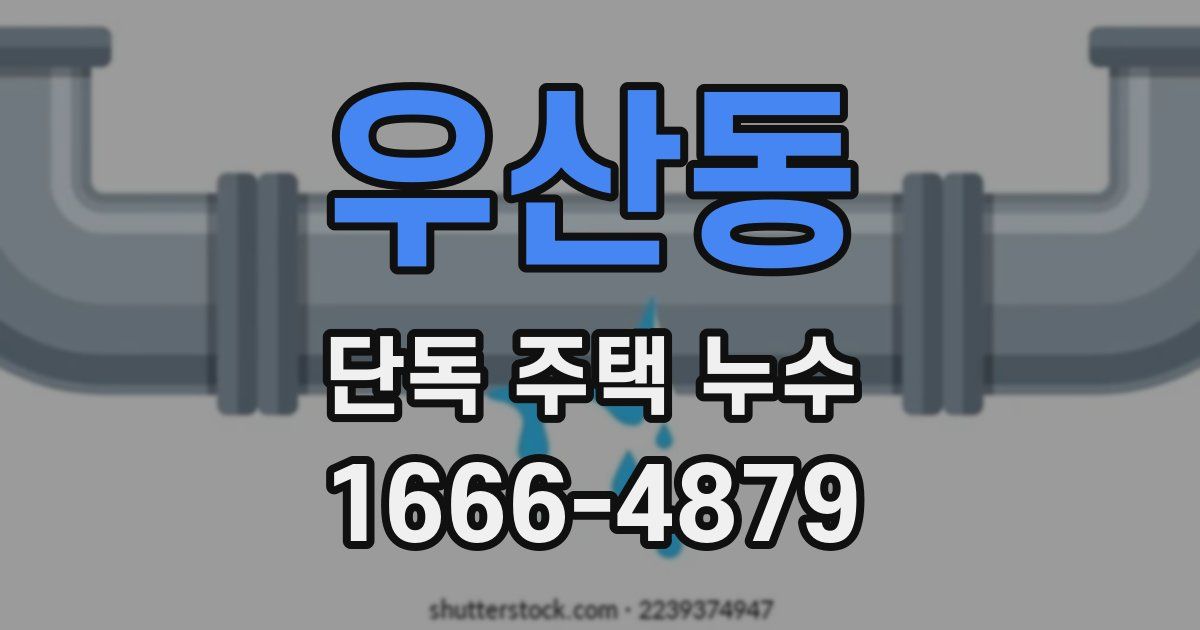우산동 단독 주택 누수