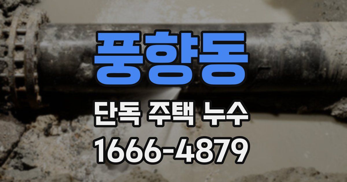 풍향동 단독 주택 누수