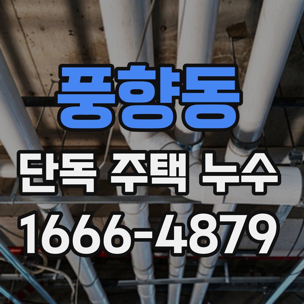 풍향동 단독 주택 누수