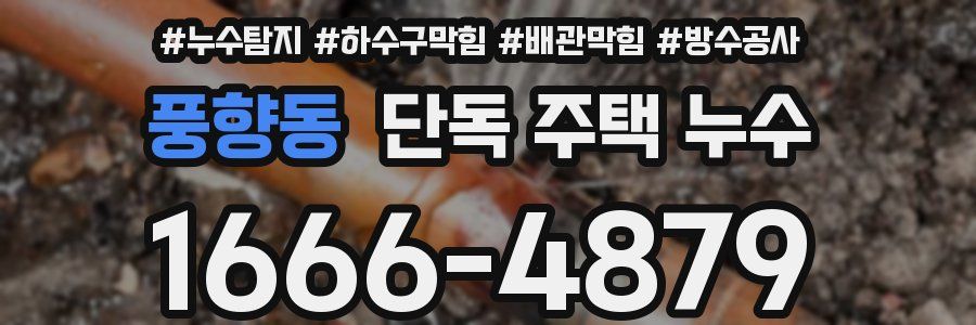 풍향동 단독 주택 누수