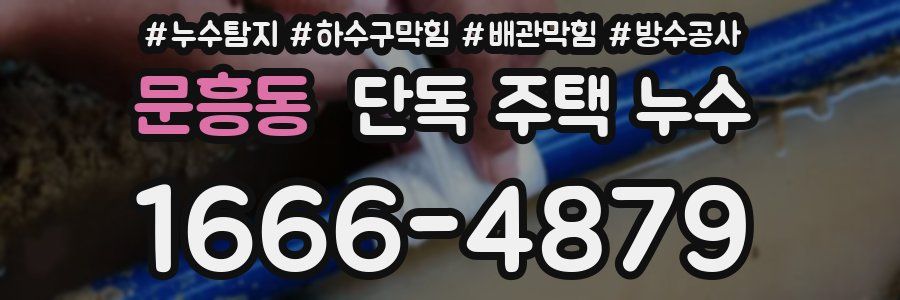 문흥동 단독 주택 누수