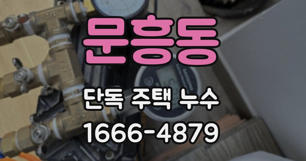 문흥동 단독 주택 누수
