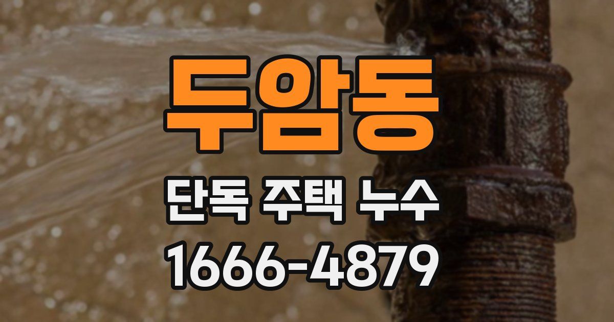두암동 단독 주택 누수