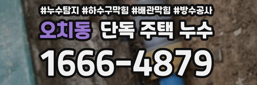 오치동 단독 주택 누수