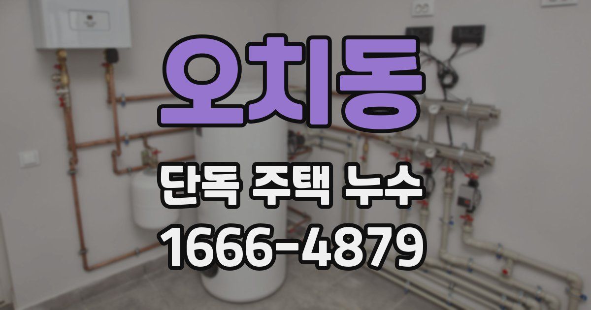 오치동 단독 주택 누수