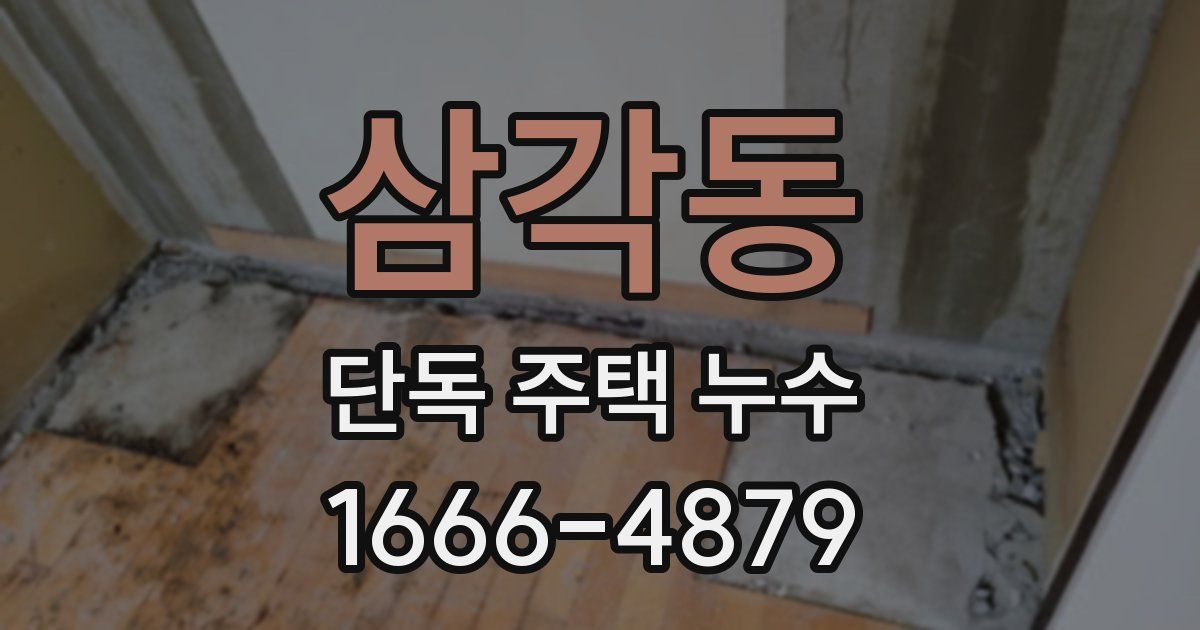삼각동 단독 주택 누수