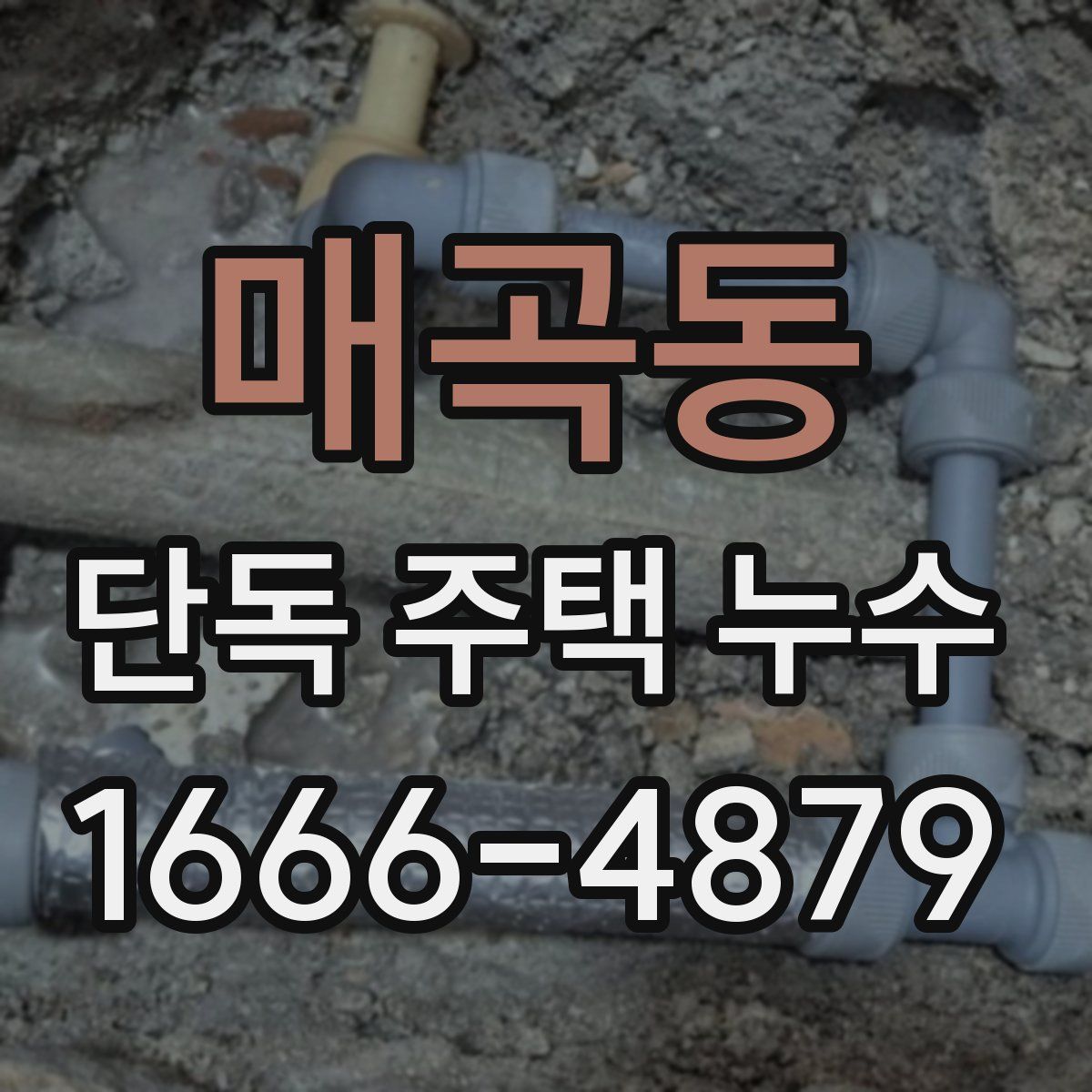 매곡동 단독 주택 누수