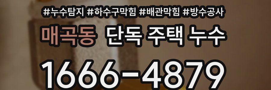 매곡동 단독 주택 누수