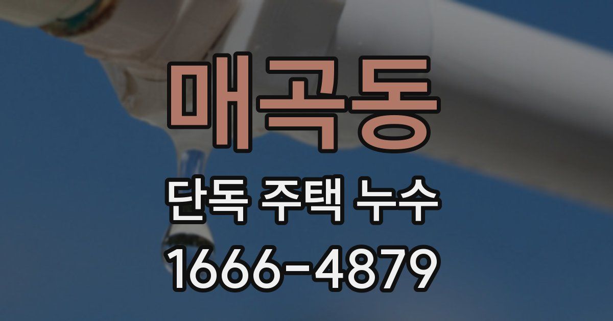 매곡동 단독 주택 누수