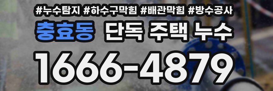 충효동 단독 주택 누수