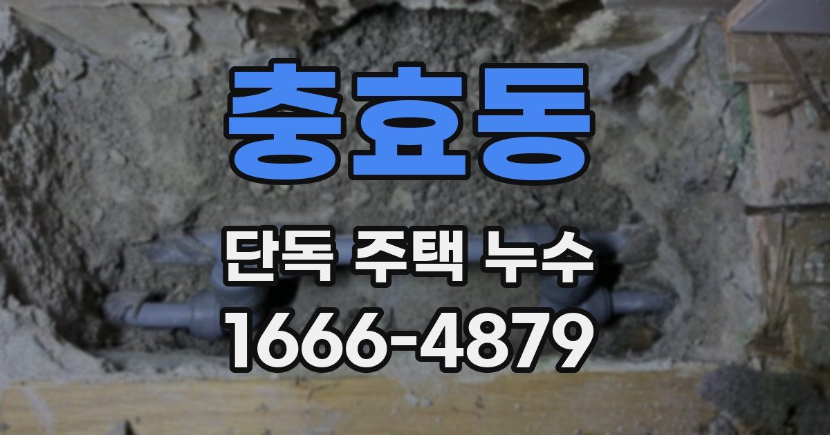 충효동 단독 주택 누수