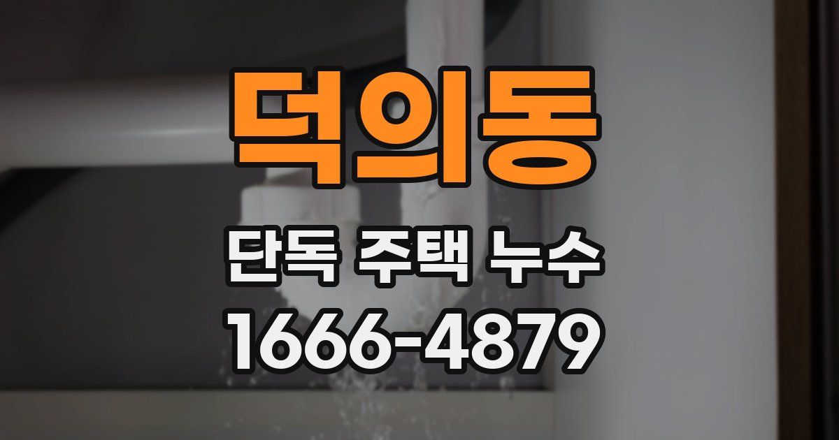 덕의동 단독 주택 누수