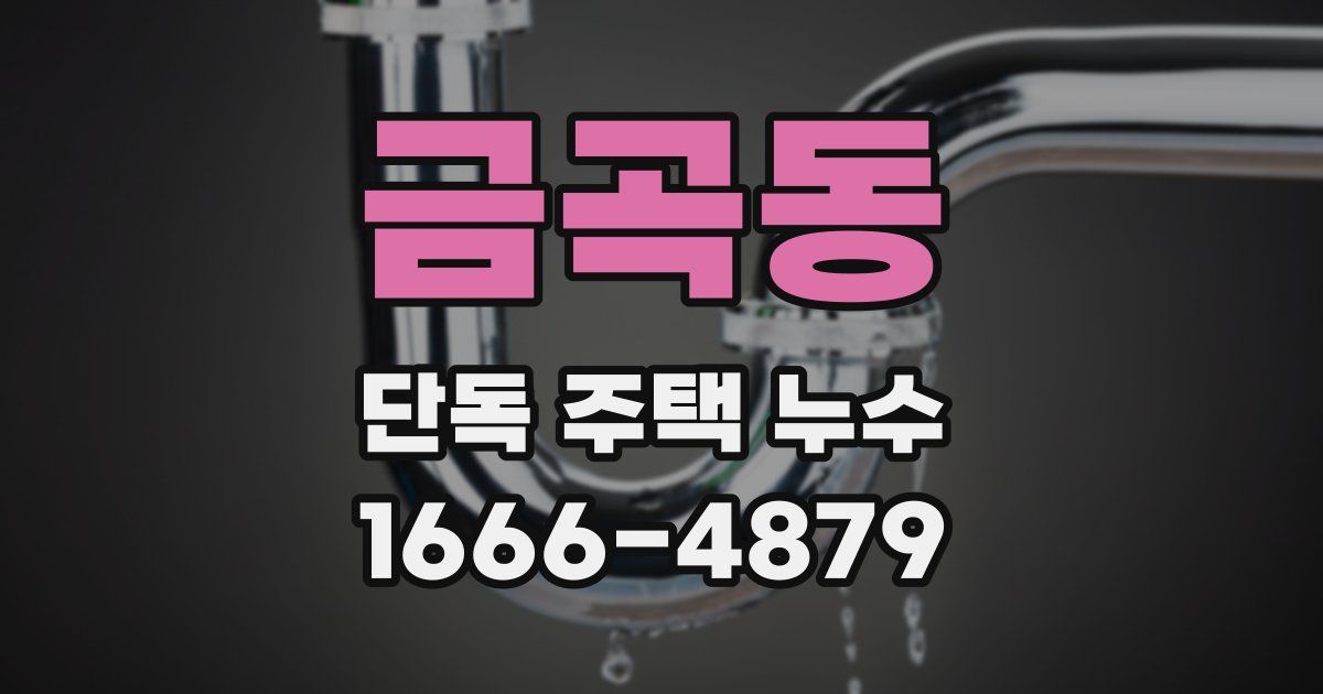 금곡동 단독 주택 누수