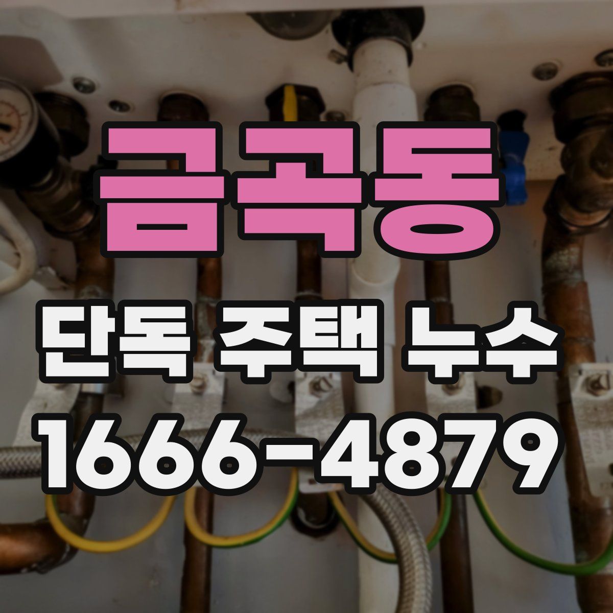 금곡동 단독 주택 누수