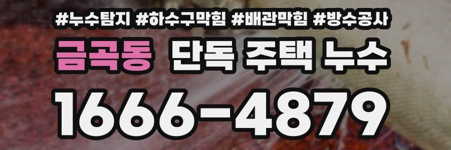 금곡동 단독 주택 누수