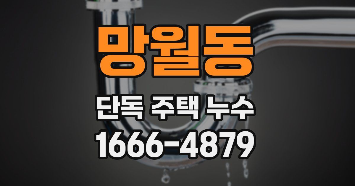 망월동 단독 주택 누수