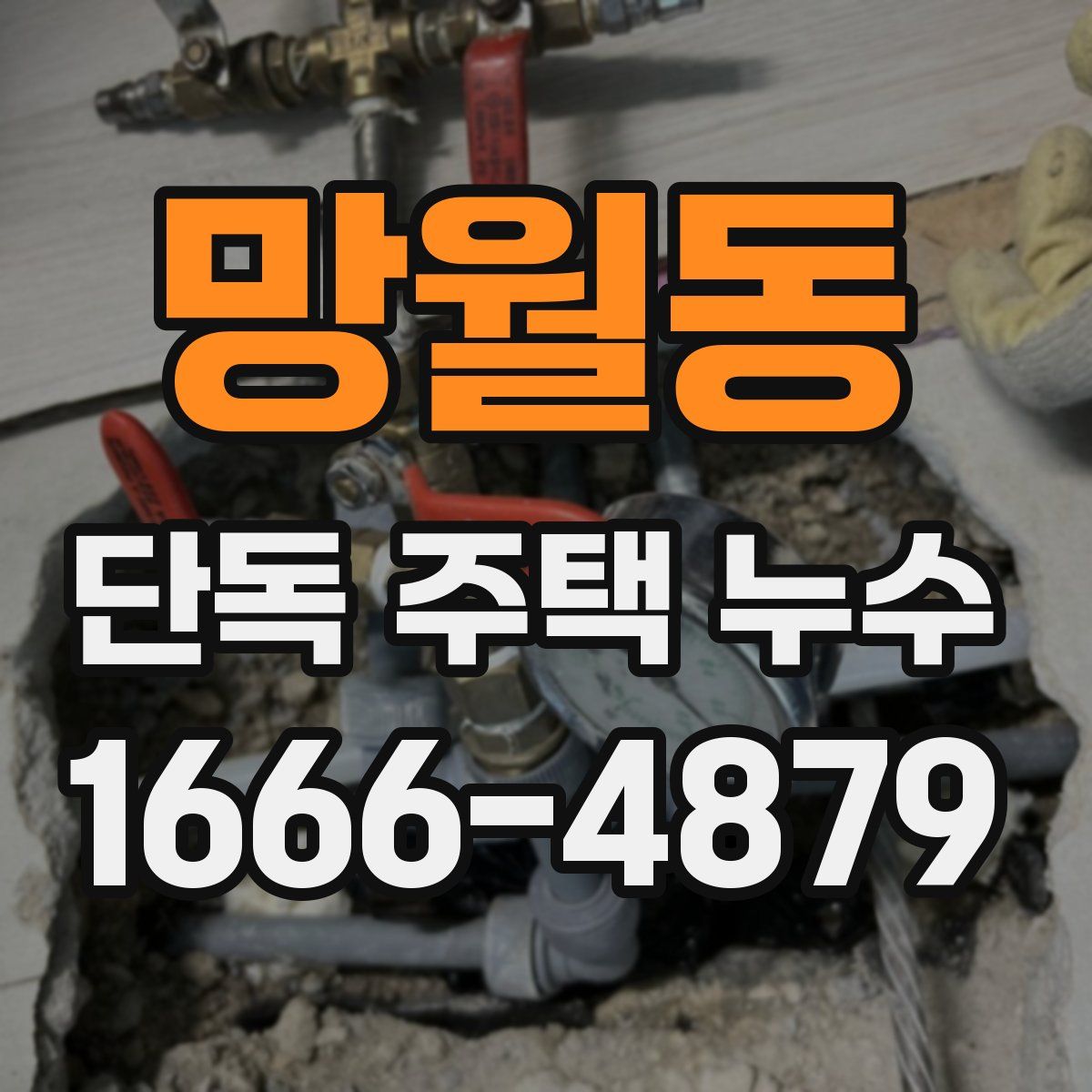 망월동 단독 주택 누수