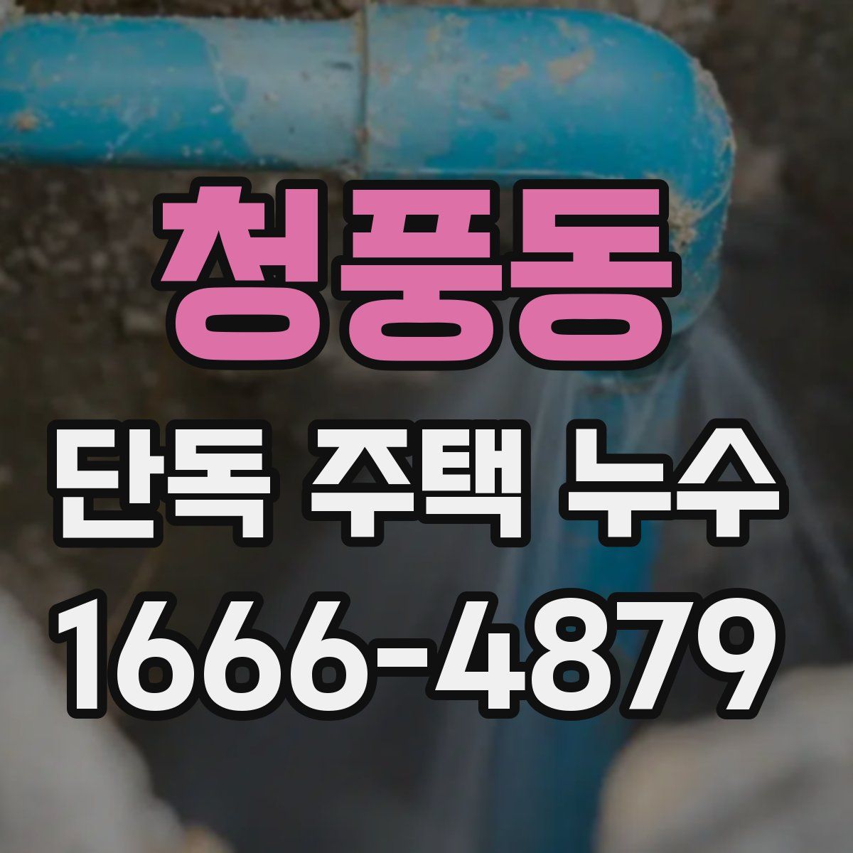 청풍동 단독 주택 누수