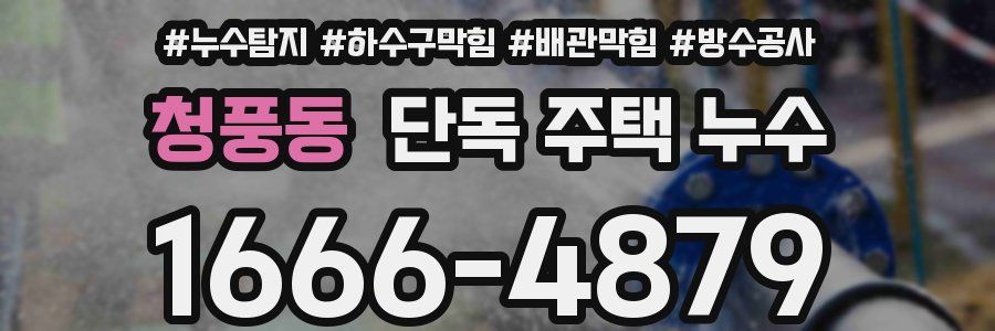 청풍동 단독 주택 누수