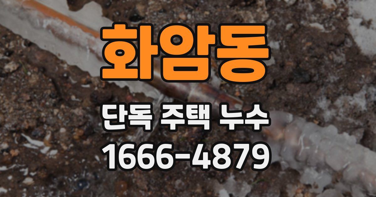 화암동 단독 주택 누수