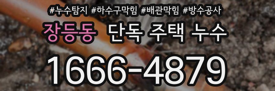 장등동 단독 주택 누수