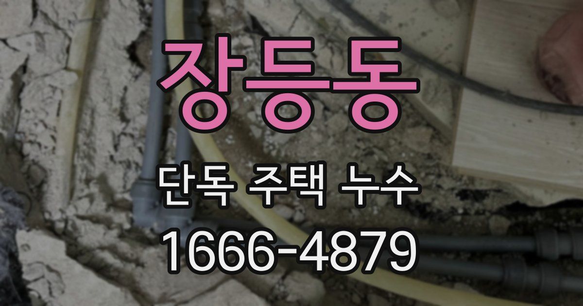 장등동 단독 주택 누수