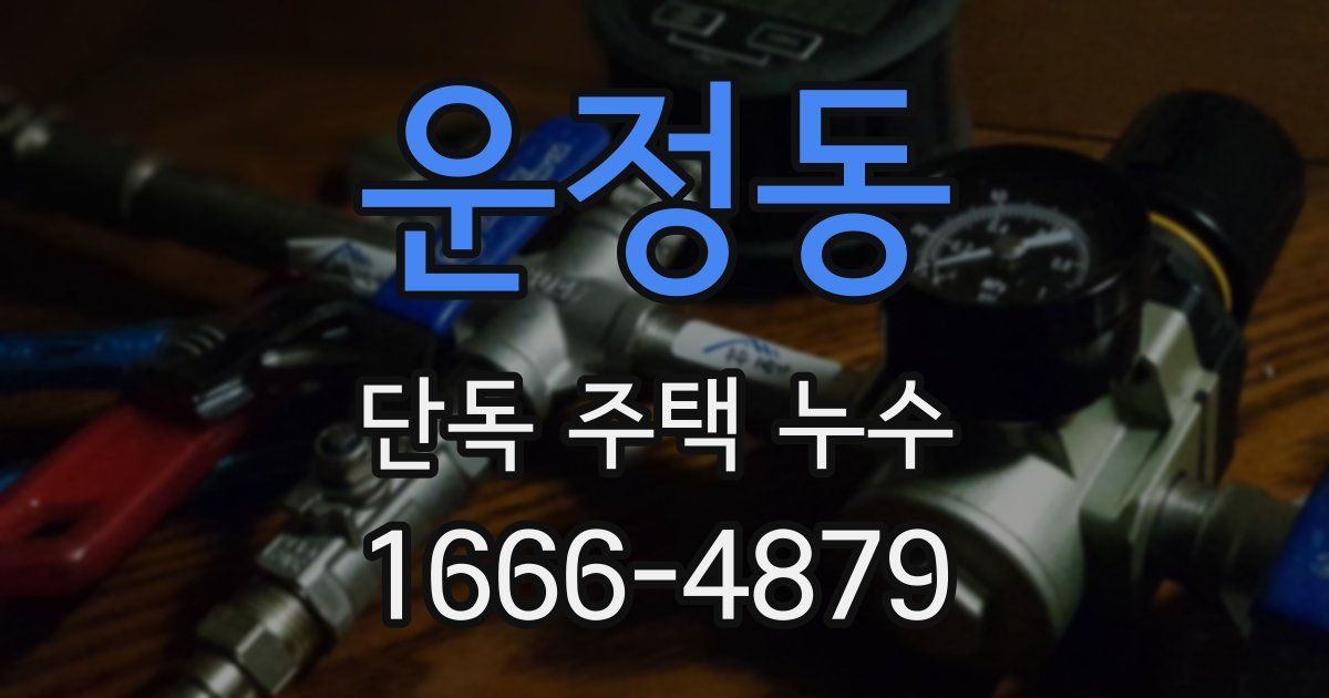 운정동 단독 주택 누수