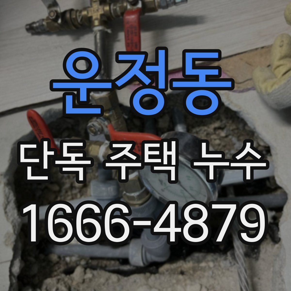 운정동 단독 주택 누수