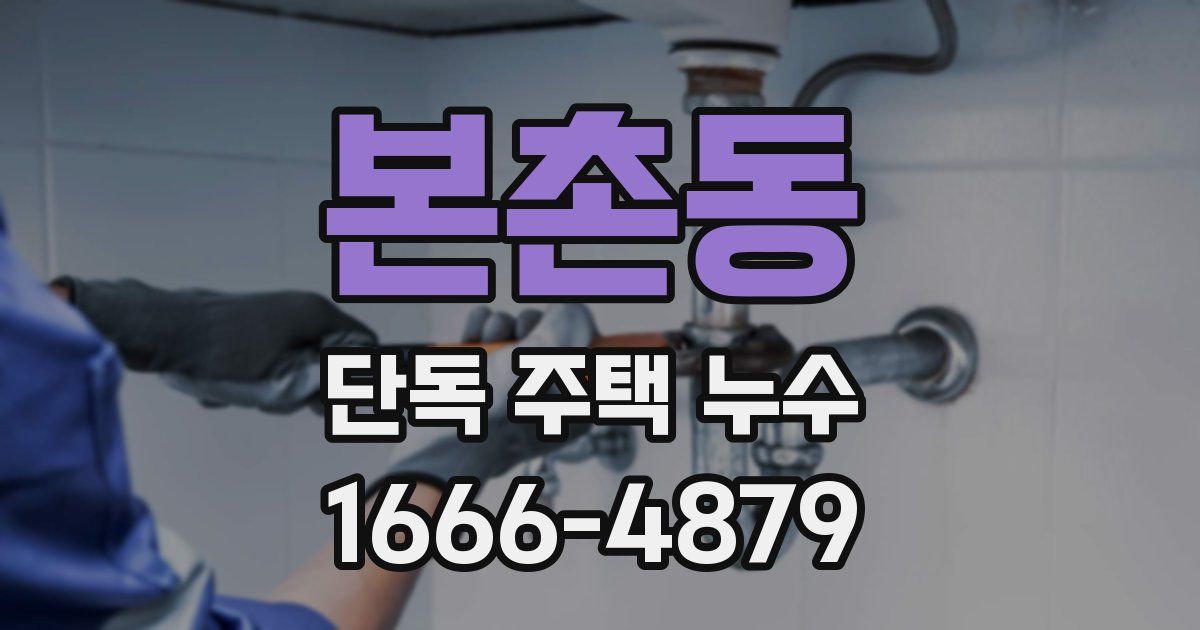 본촌동 단독 주택 누수