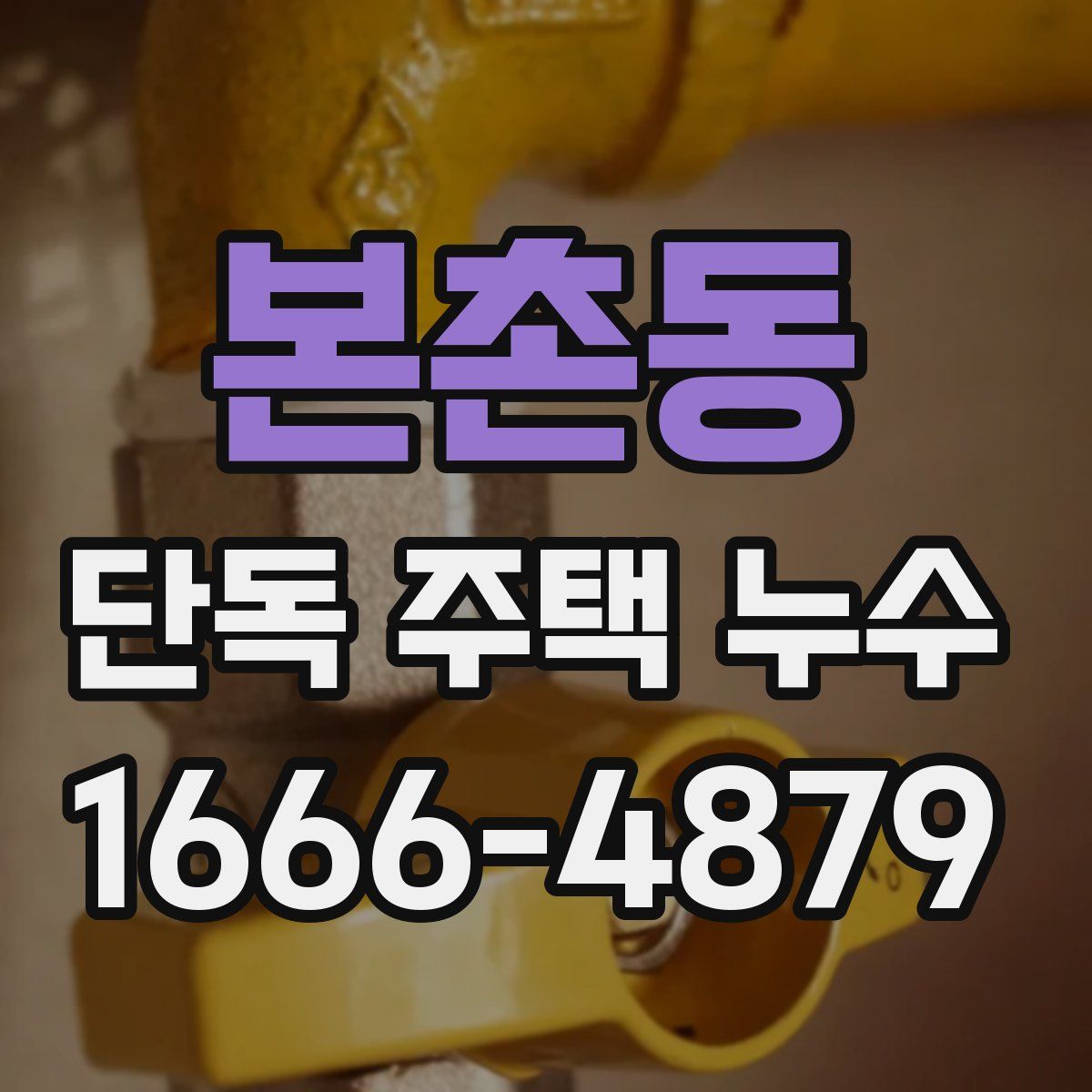 본촌동 단독 주택 누수