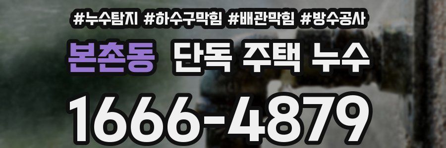 본촌동 단독 주택 누수