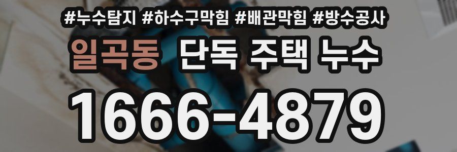 일곡동 단독 주택 누수