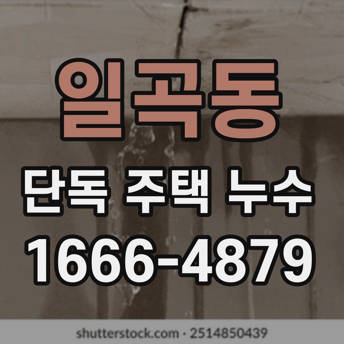 일곡동 단독 주택 누수