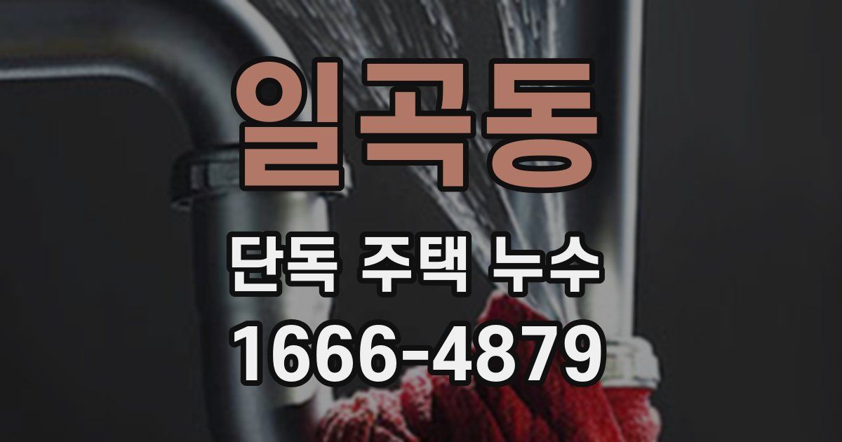 일곡동 단독 주택 누수