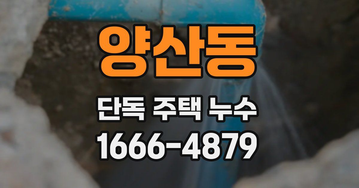 양산동 단독 주택 누수