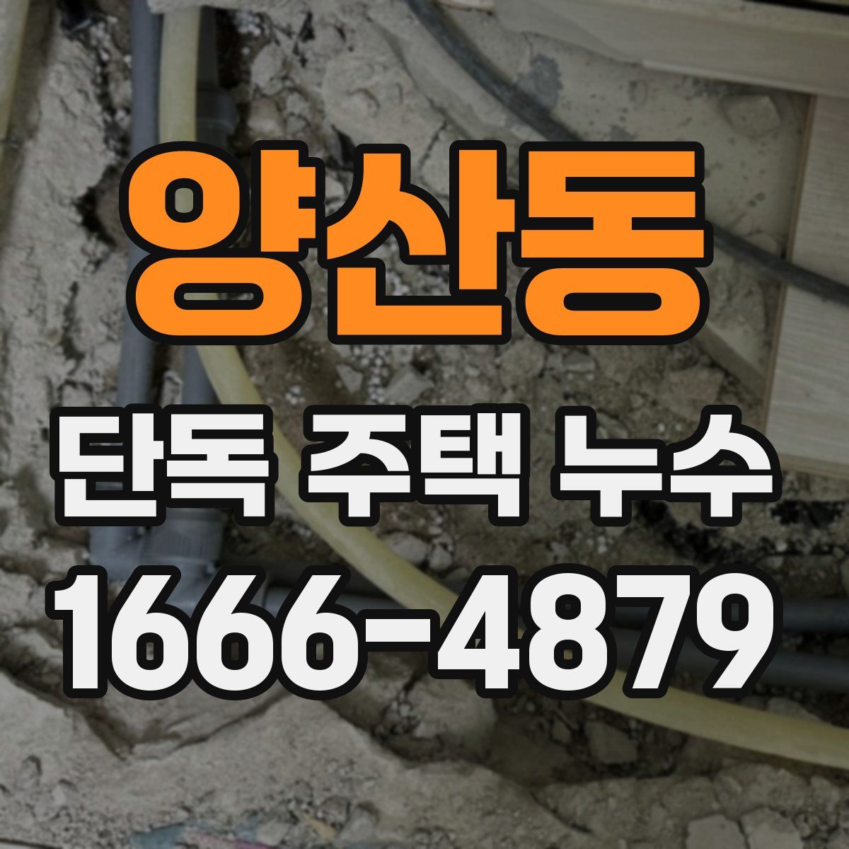 양산동 단독 주택 누수