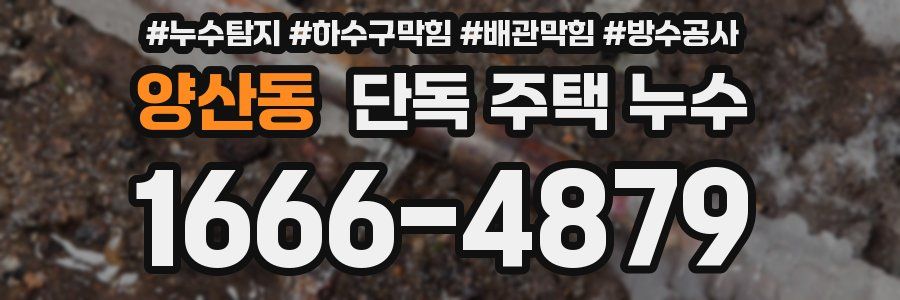 양산동 단독 주택 누수