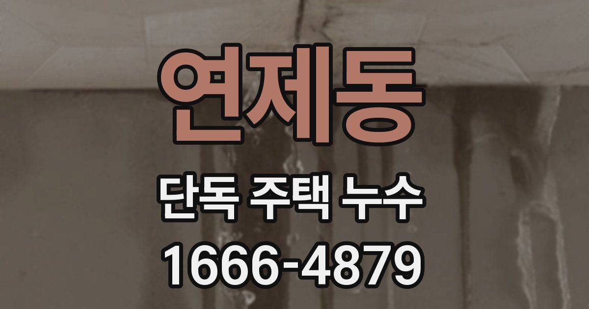 연제동 단독 주택 누수
