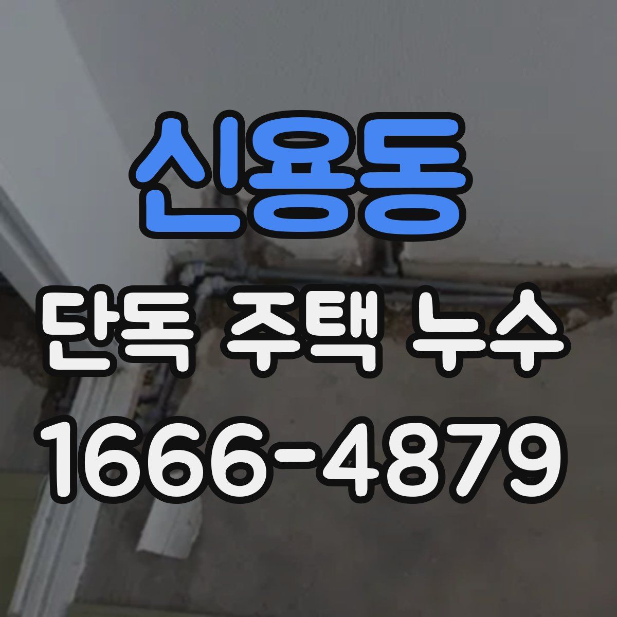 신용동 단독 주택 누수