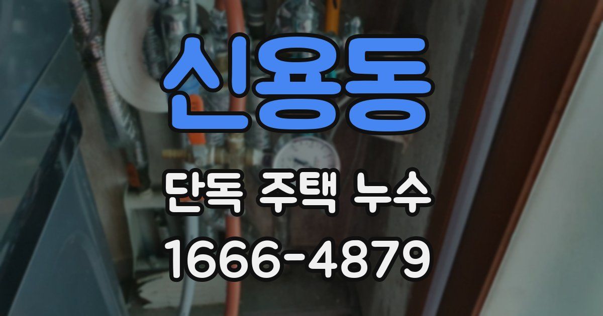 신용동 단독 주택 누수