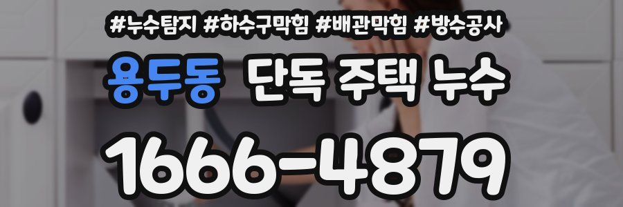 용두동 단독 주택 누수