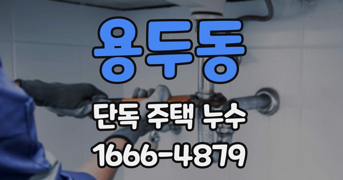 용두동 단독 주택 누수