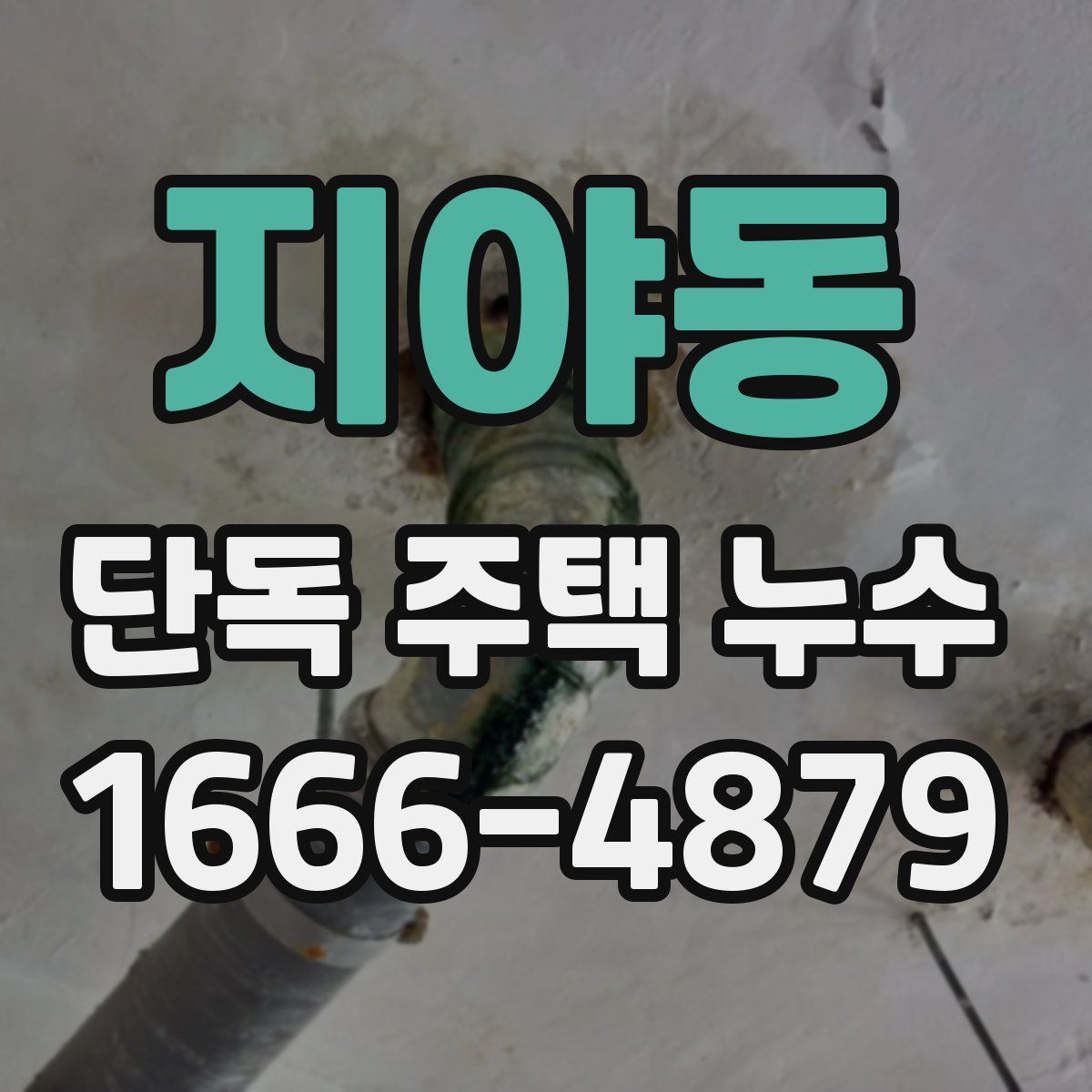 지야동 단독 주택 누수