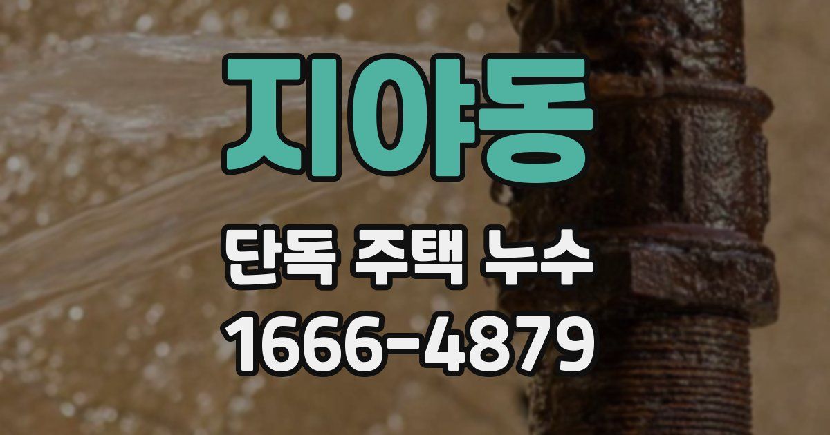 지야동 단독 주택 누수